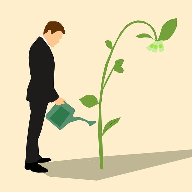 grow money with ads