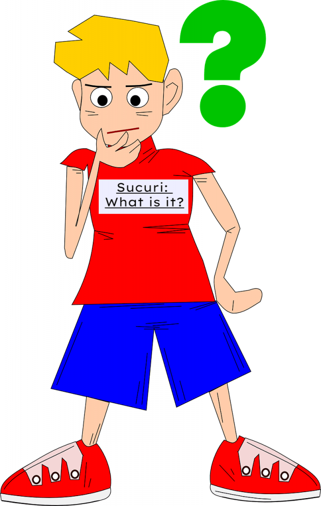Sucuri: What is it?