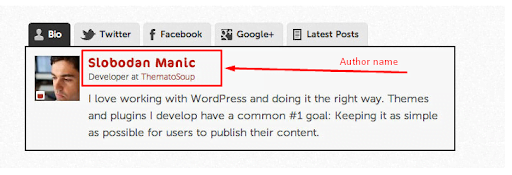 author bio plugin